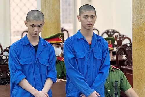 Anh em sinh đôi cùng gây án