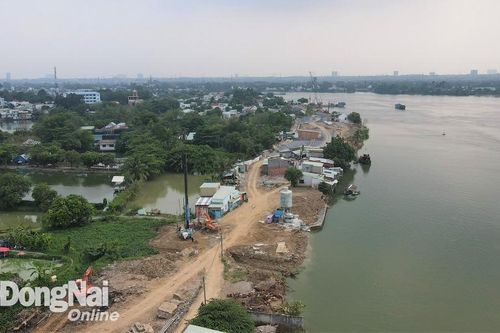 Giao, cho thuê gần 9 hécta đất làm dự án khu dân cư và tái định cư phường Bửu Long