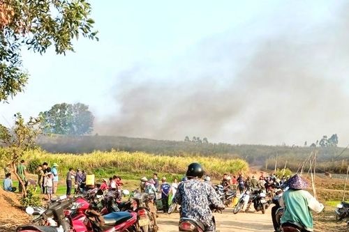 Gần 40 ha mía đang vào vụ thu hoạch bị lửa thiêu rụi