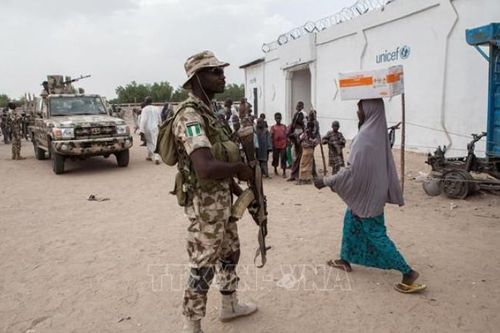 Quân đội Nigeria giải cứu hơn 200 người bị bắt cóc