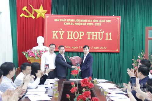 Liên minh hợp tác xã tỉnh có tân Phó Chủ tịch