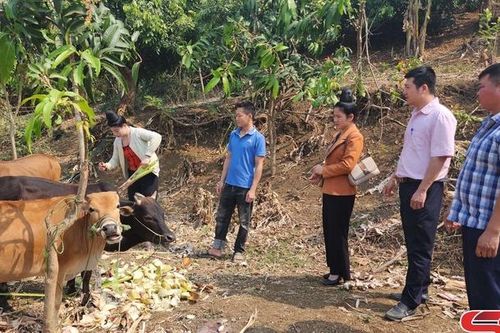 Vì một xã hội không ai bị bỏ lại phía sau