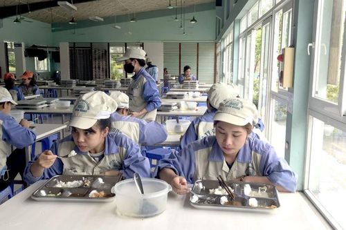 Tăng cường công tác chăm sóc sức khỏe người lao động