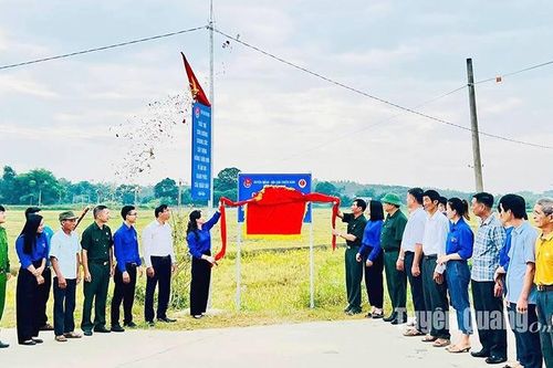 Thanh niên tham gia xây dựng nông thôn mới