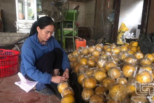 Người giàu ở Lục Thành