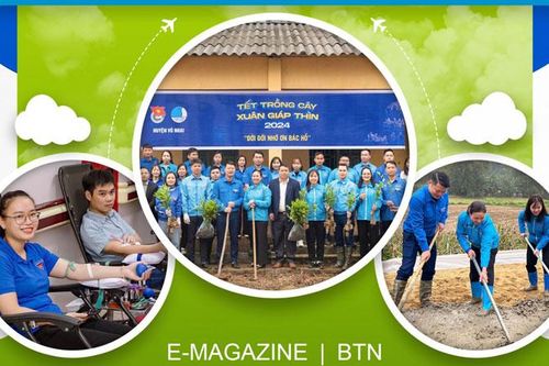 Năm Thanh niên tình nguyện: Lan tỏa tinh thần tình nguyện, ý chí thanh niên