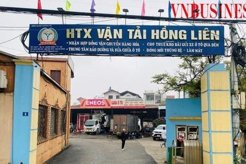 HTX Vận tải Hồng Liên với mô hình kinh doanh bền vững