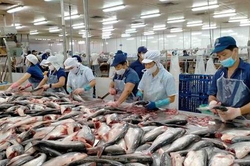 Mỹ tăng nhẹ thuế chống bán phá giá cá tra Việt Nam