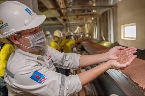 Xuất khẩu Đạm Cà Mau tháng 2 tăng trưởng gấp 10 lần
