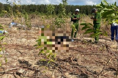 Phát hiện thi thể người trong vườn tràm mới trồng