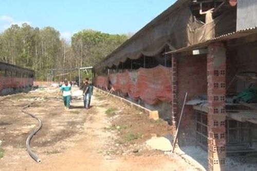 Ba người tử vong do ngạt khí hầm chứa biogas tại Đồng Nai