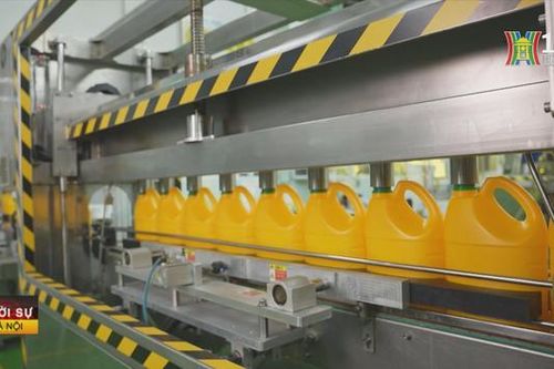 Dự báo GDP tăng 6,1%