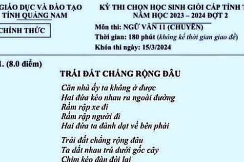 Đề thi học sinh giỏi Ngữ văn 11 bàn về 'văn chương là lộc mà trời bù cho người'