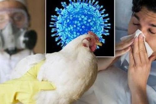 Thông tin mới nhất vụ nam sinh tử vong do cúm A/H5N1, đây có thể là yếu tố dịch tễ lây nhiễm bệnh