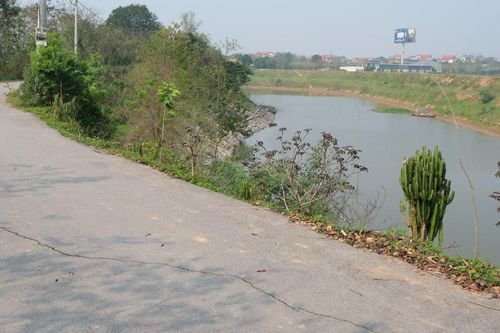 Vĩnh Phúc: xuất hiện nhiều vết nứt nghiêm trọng trên tuyến đê Bá Hanh