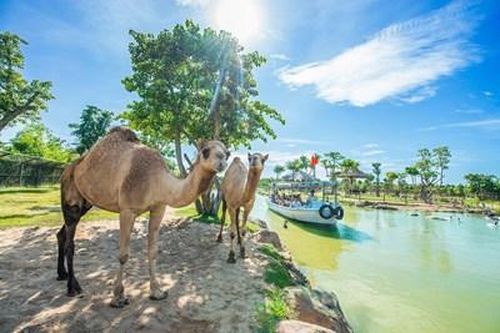 Sự sống hồi sinh ở River Safari Nam Hội An
