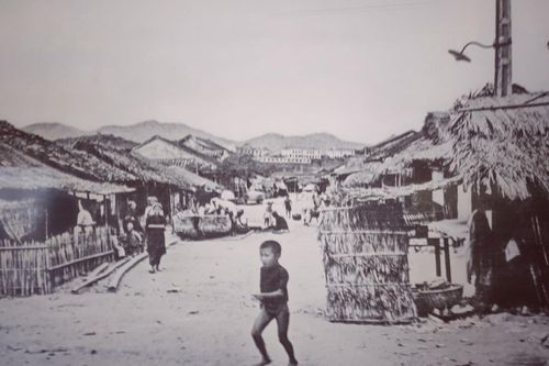 50 năm YERSIN ở Nha Trang
