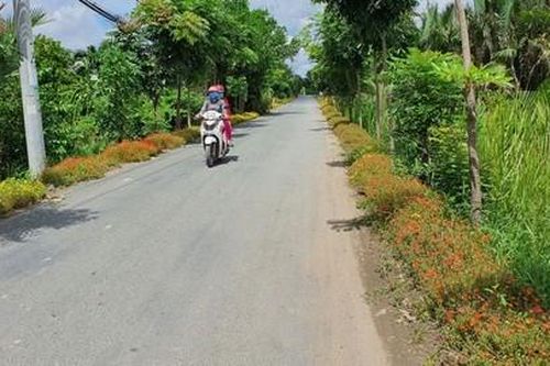TP HCM: Cty Duy Bình 1 ngày trúng 3 gói thầu tại UBND xã Đa Phước