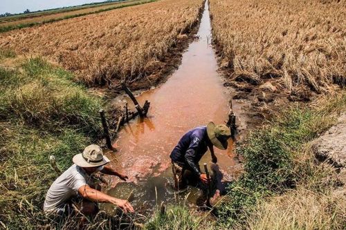 Lời cảnh báo từ những dòng sông