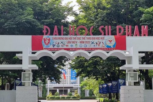 Giả danh cán bộ, giảng viên trường Đại học sư phạm Huế để lừa đảo