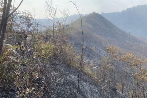Cháy rụi 2,5ha rừng tái sinh tại Mù Cang Chải