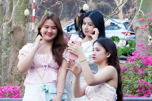 Hàng bông gòn ở Vũng Tàu bung nở trắng xóa, cảnh đẹp tựa 'tuyết xứ Hàn'