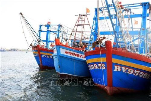 Bà Rịa-Vũng Tàu triển khai cấp số tạm cho tàu cá '3 không'