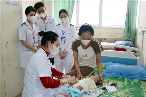 Nữ cán bộ Đoàn đam mê nghiên cứu khoa học