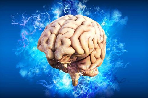 AI phát hiện sự khác biệt đáng kể giữa bộ não của nam và nữ