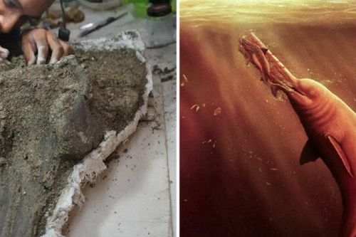 Phát hiện dấu tích 'thủy quái đỏ khổng lồ' ở Peru