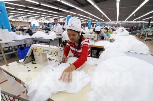 FPT, May Hồ Gươm: Truyền cảm hứng cho doanh nghiệp thực hành ESG