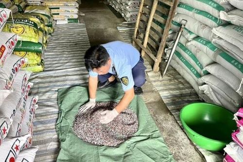 Quản lý thị trường tỉnh Kiên Giang thu nộp ngân sách gần 3 tỷ đồng trong quý I/2024