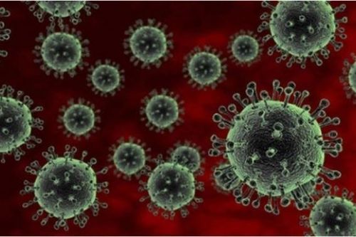 Chưa tìm ra nguồn lây nhiễm cúm A/H5N1 ở Khánh Hòa