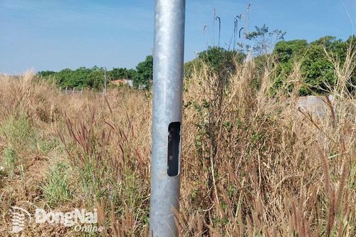 Cắt trộm dây điện, bị truy tố