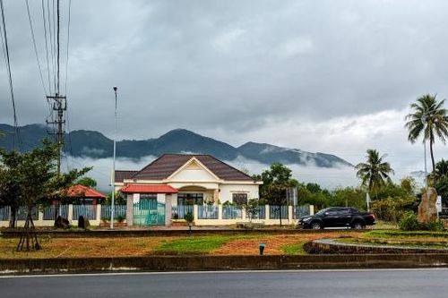 Cây dừa trồng ở góc vườn xưa