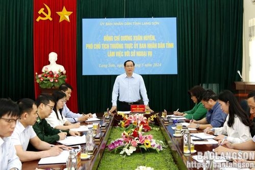 Lãnh đạo UBND tỉnh làm việc với Sở Ngoại vụ