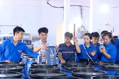 Tuổi trẻ Thanh Ba xung kích - tình nguyện vì cuộc sống cộng đồng