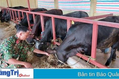 Hướng Hóa kiểm soát tốt dịch bệnh trong chăn nuôi