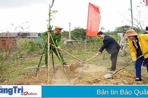 Trồng mới hơn 764 ha rừng tập trung