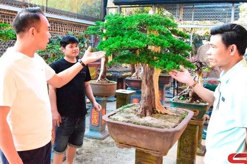Phát triển đa dạng các ngành nghề nông nghiệp, nông thôn