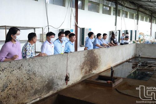 Phổ Yên: Phát triển công nghiệp gắn với bảo vệ môi trường