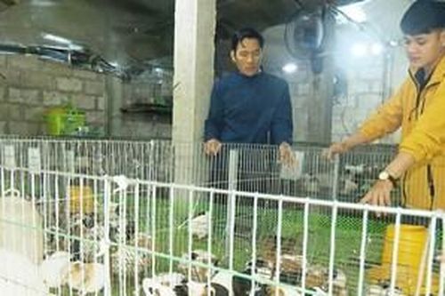 Xung kích trên mặt trận kinh tế
