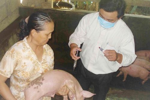 Ứng phó nguy cơ dịch bệnh gia súc, gia cầm