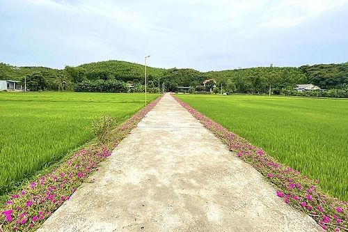 Quảng Bình: Chuyển hơn 405 tỷ đồng nguồn vượt thu năm 2022 sang năm 2024