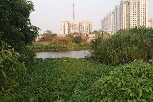 Khám sức Khỏe