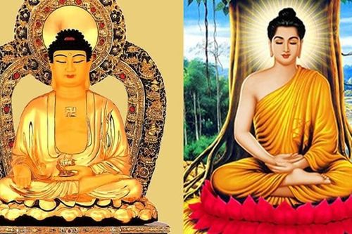 Khi nào niệm Nam mô A Di Đà, khi nào niệm Nam mô Bổn sư Thích Ca?