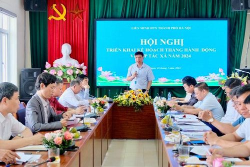Nhiều sự kiện hưởng ứng Tháng hành động vì hợp tác xã