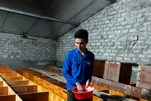 Chàng trai người Dao làm giàu nhờ nuôi dúi