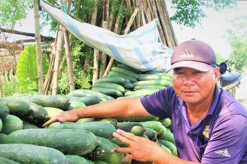 Nơm nớp mối lo được mùa, mất giá