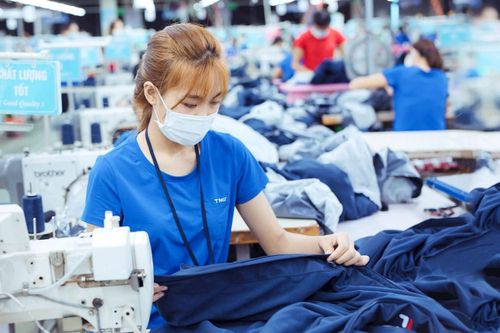 Dệt may TNG sụt giảm hơn 40% lợi nhuận